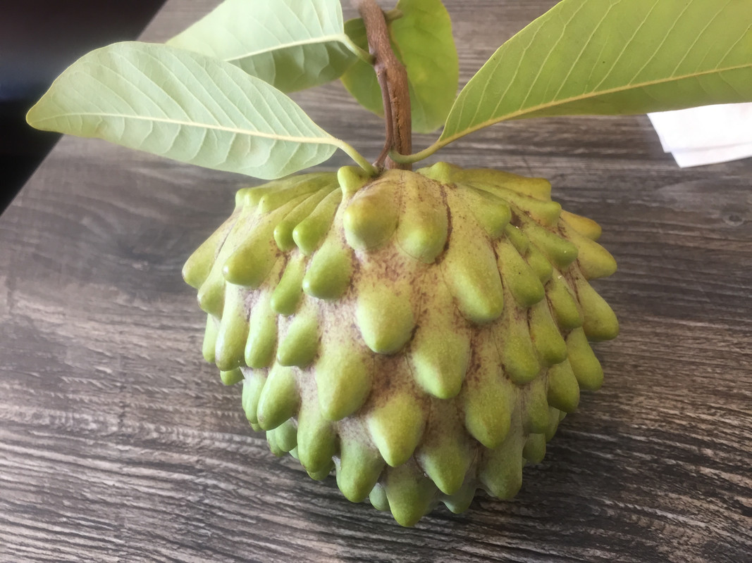 94970BB3-02CF-4458-B82A-58916C3DA745