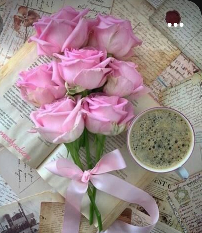 Screenshot_20230219_201444_Pinterest