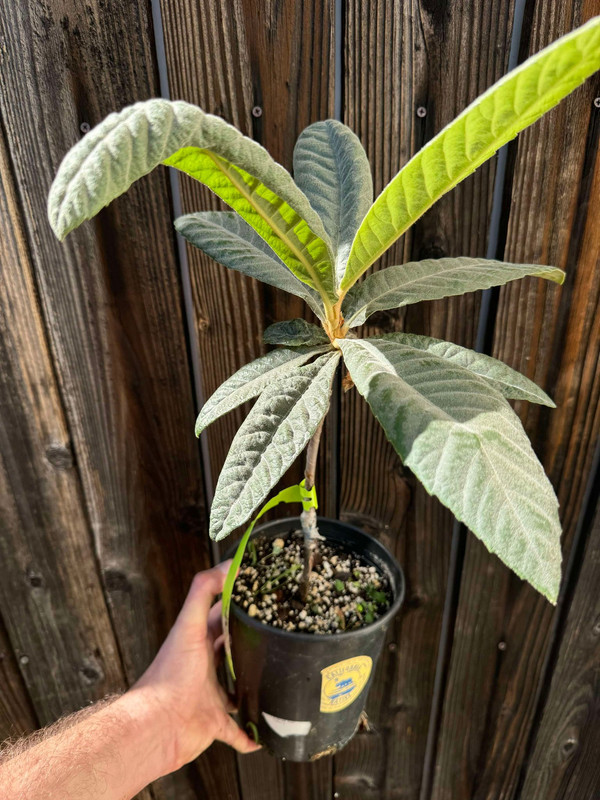 462546229_1191846761881893_8923644306443718435_n