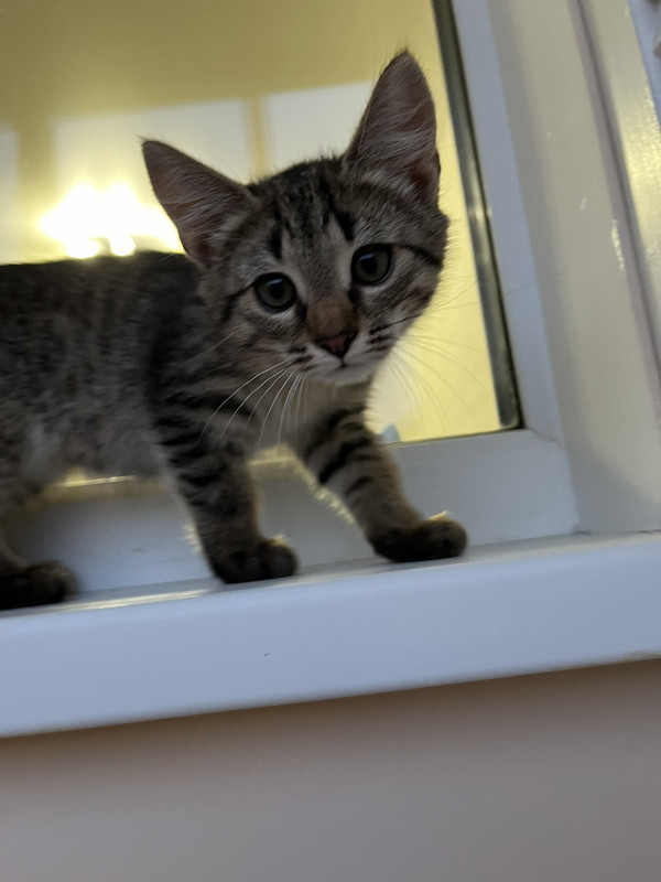 IMG-ea306fa52e9a06423ab2c7723b9a6d4a-V