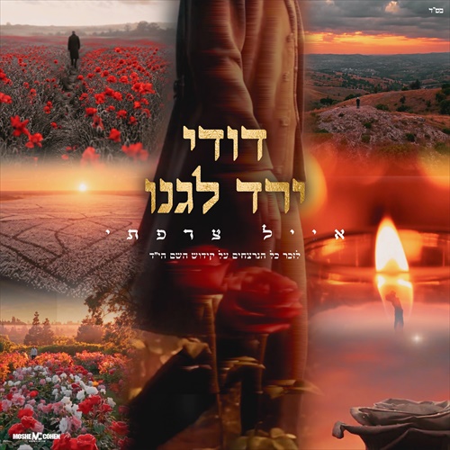 תמונה