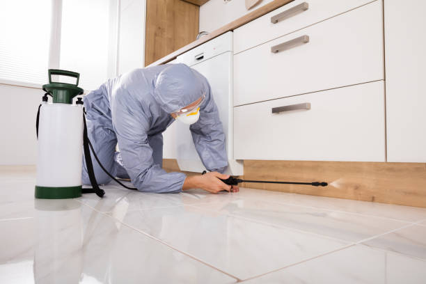 pest control Tampa