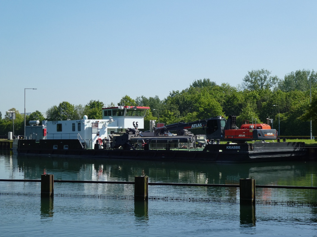 2020.05.07a Krabbe (1280x960)