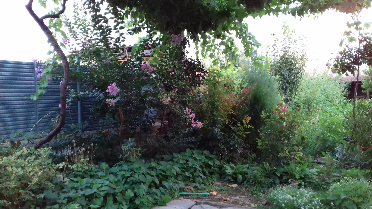 20190715_204346