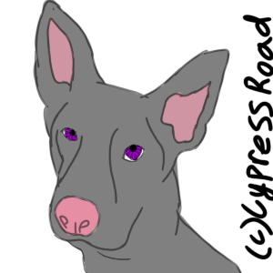 83cc70b3 5d07 4a8e 989b 4fbe6cc9e183