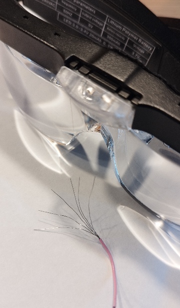 [Bild: IMG-20260222-123250.jpg]