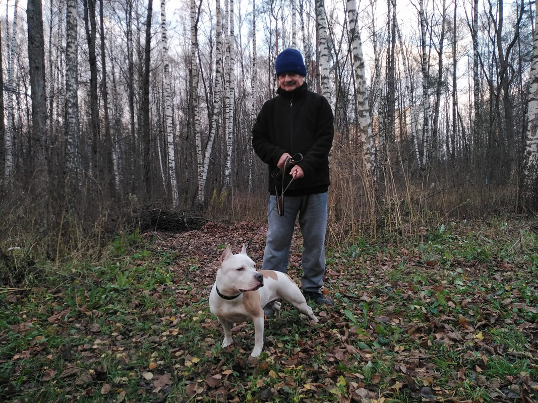 81779FA3-E016-4AD0-99AF-F218B52A3696