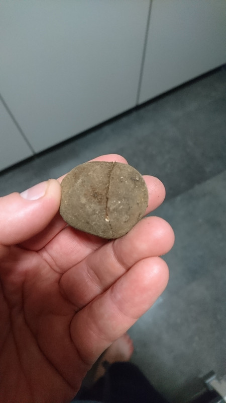 ryffeli1 (1)