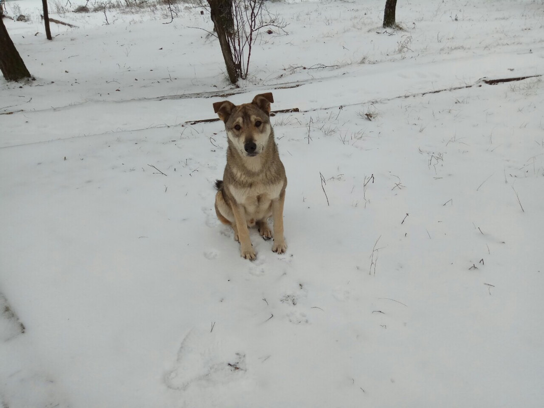 694868B7-6D6E-4E9C-911F-1D8FDFA8C6DF