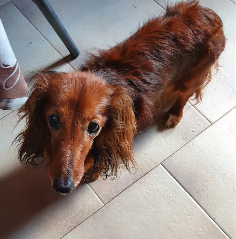 [Image: 20210321-084222.jpg]