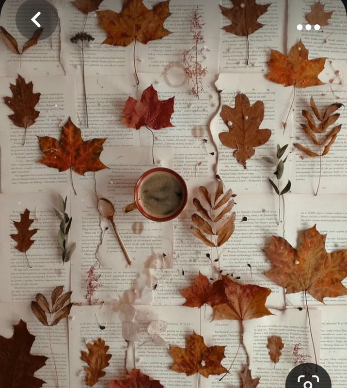 Screenshot_20231031_221301_Pinterest