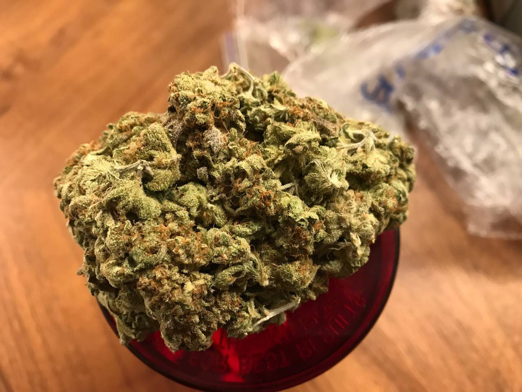 ПАНЧ