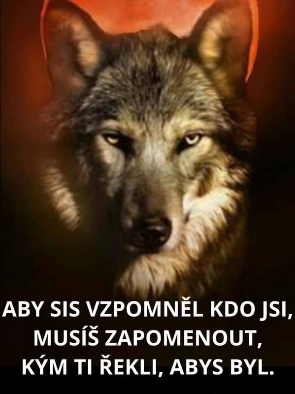 148229536_426978905053708_8404002241616086261_n