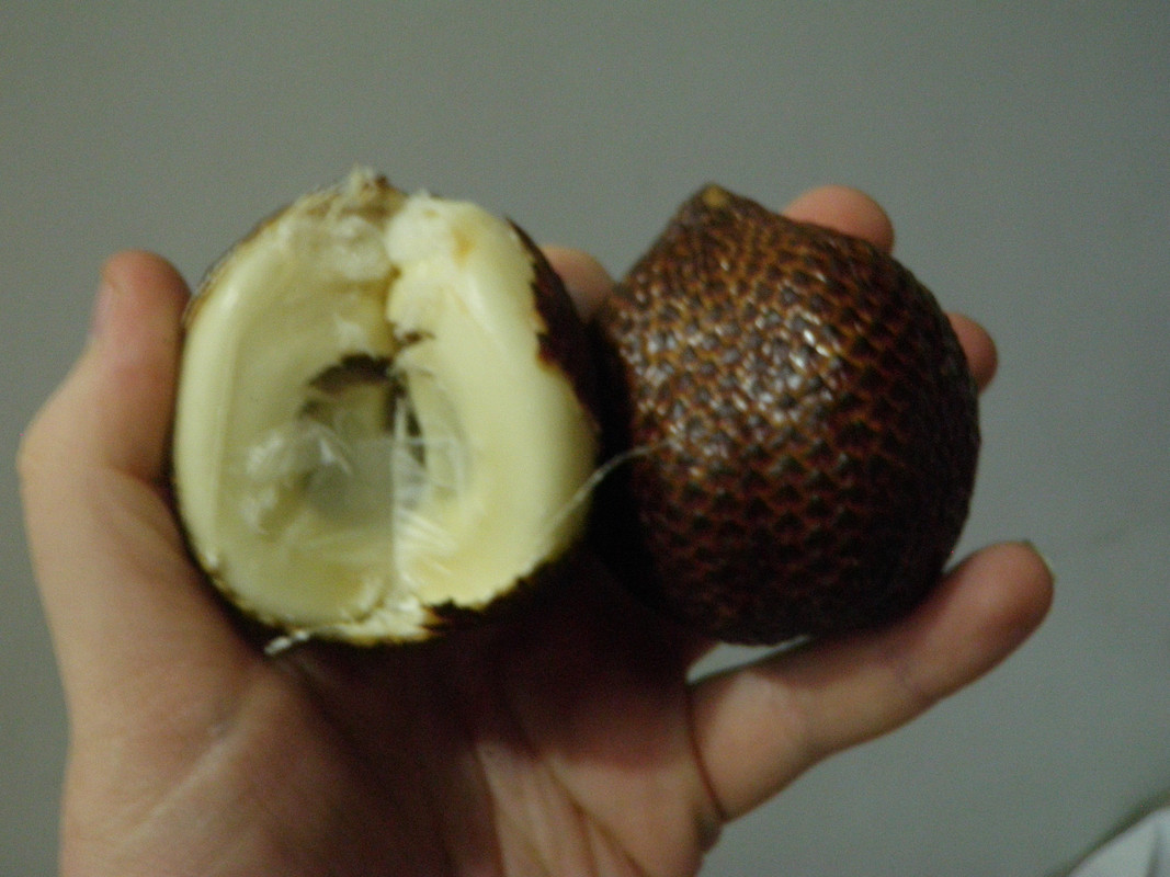 chinese fruits and stuff 006