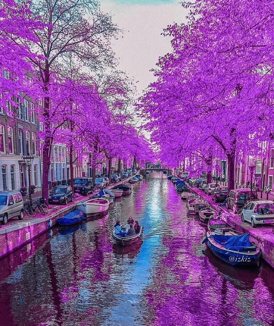 purplecanal.jpg