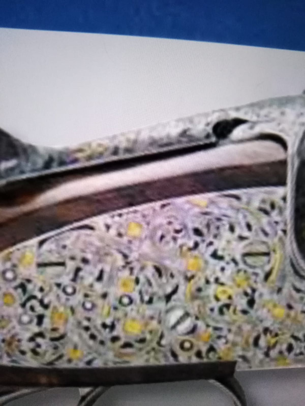 9618C19C-FE90-4D10-B236-52D1730F008E