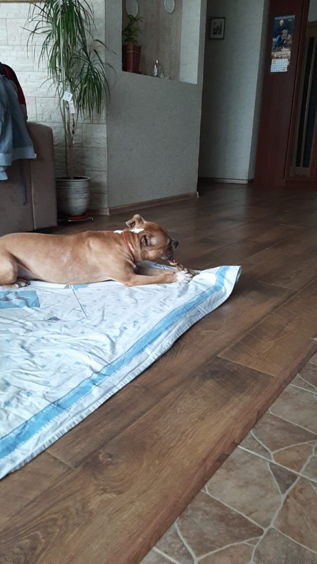 0FF14A33-24FC-4D3A-9EB8-7BED86387C52