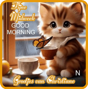 voor-blogjes-27-augustus.gif