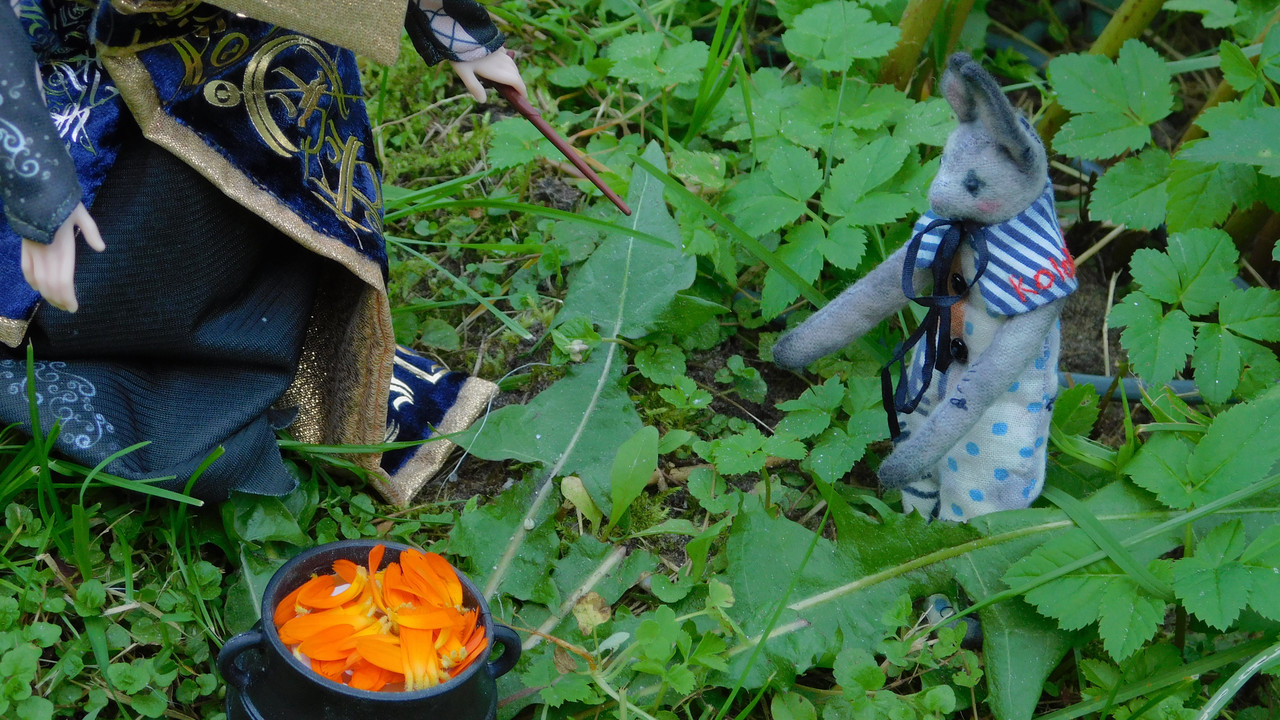 Дачное и  к Хелл сентябрь 2023 160