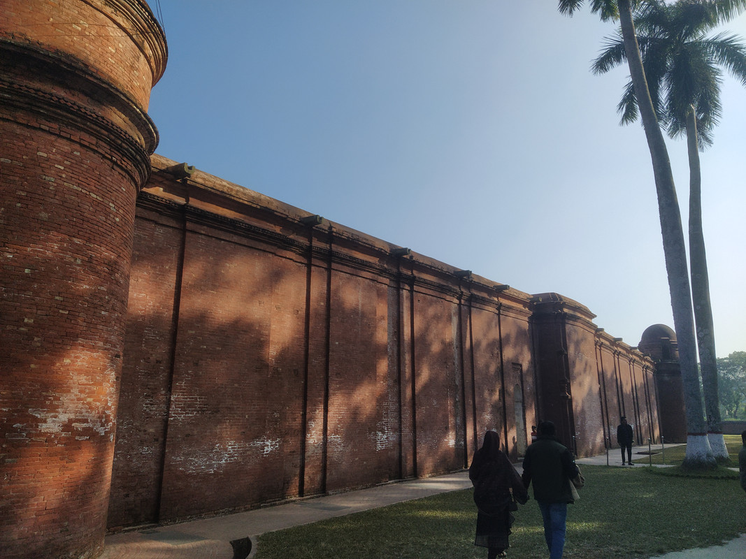 Бенгальский фьюжн с коровами на деревьях, или Бангладеш в обрамлении двух Индий