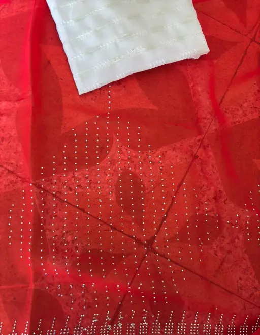 JANKI Saree With Blouse_RED (R103)