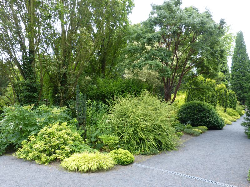 2014-07-13 Arboretum Härle 10