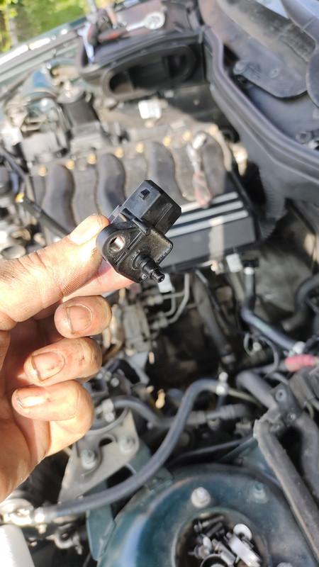 IMG_20231001_135456655