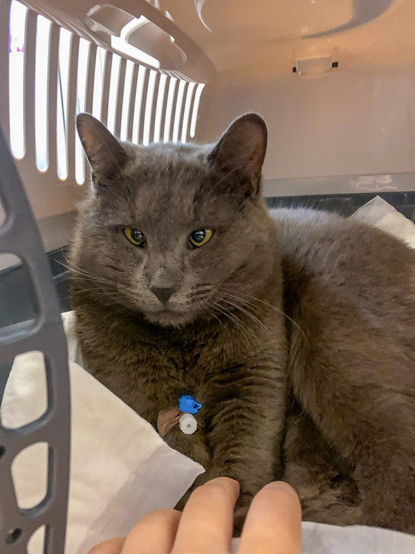 5162E48B-4D49-4A7B-83A4-F5C48C197F20