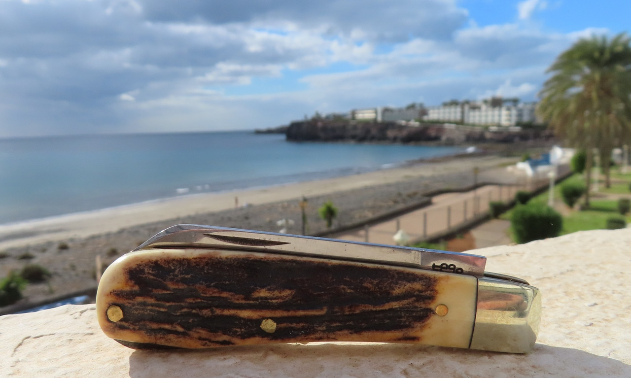 AW Small Sambar LF (2) 15-5