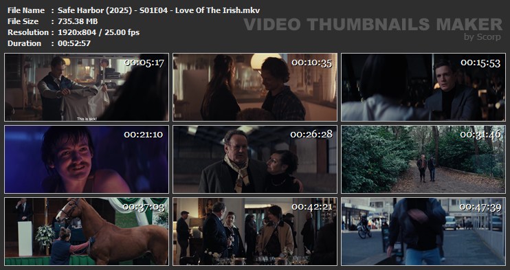 Safe Harbor (2025) - S01E04 - Love Of The Irish.mkv