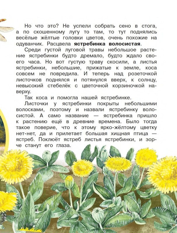 Onegov-Anatolij-Pochemu-kukushka-slozki-lot-page-0046