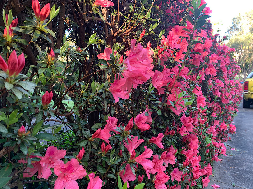 BDEACB4F-6B19-4545-B04D-4E05D6A6D712