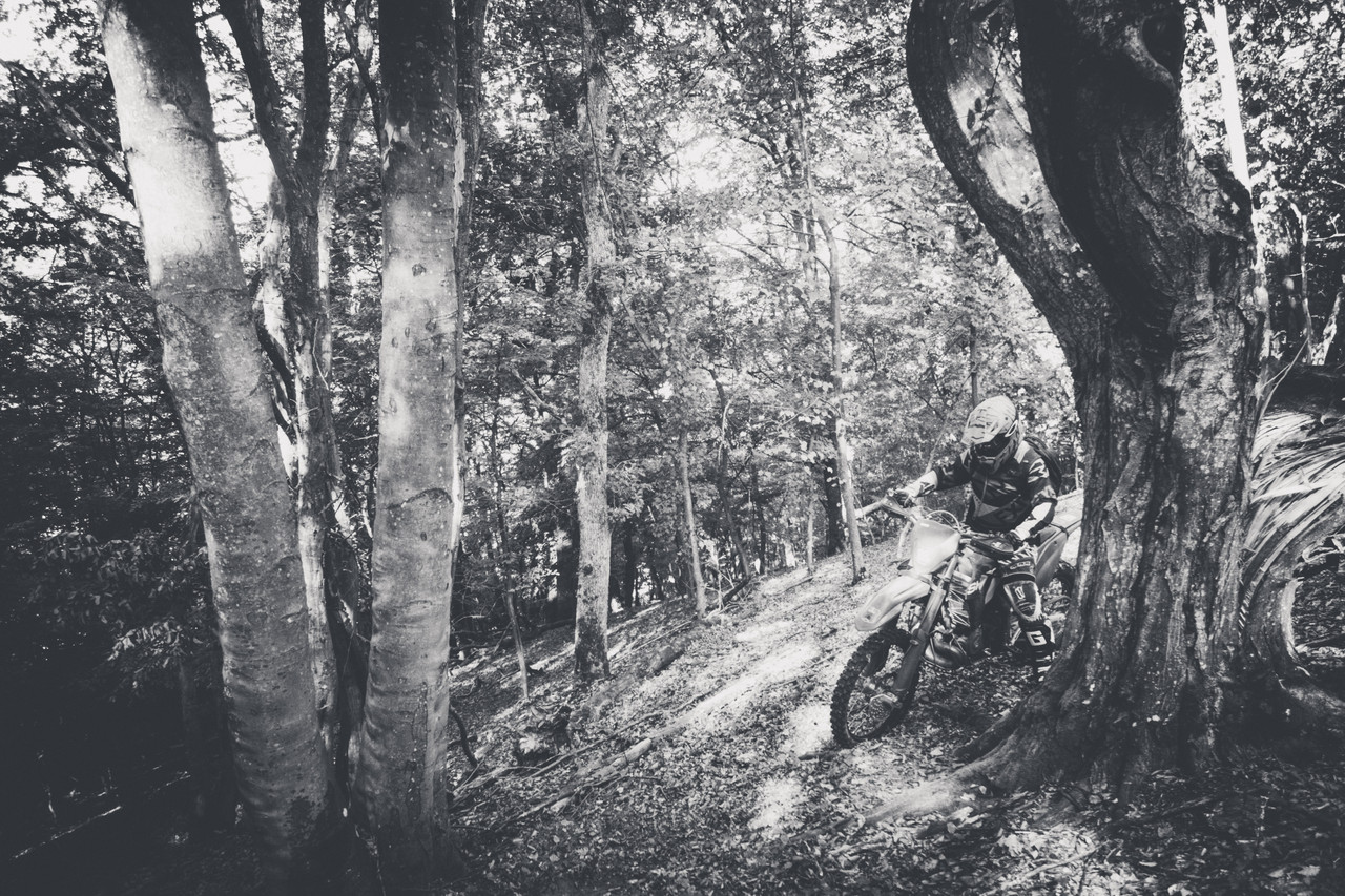 Riding on the Dracula Trails