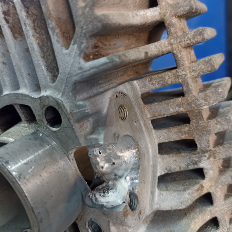 WhatsApp Image 2024-01-31 at 14.47.48 (1)