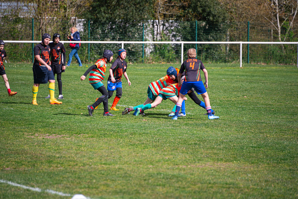 tournoi-de-latlantique-2026-adonis-griffon-48-55181290101-l