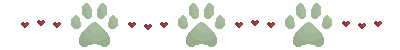 Paw-Divider-YCH-Nox-Jaseri.png