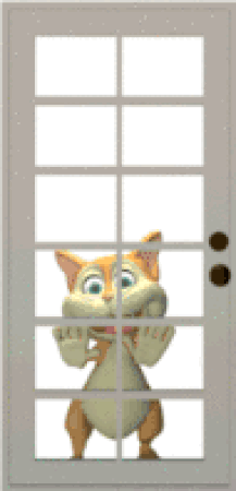 Cat-Window