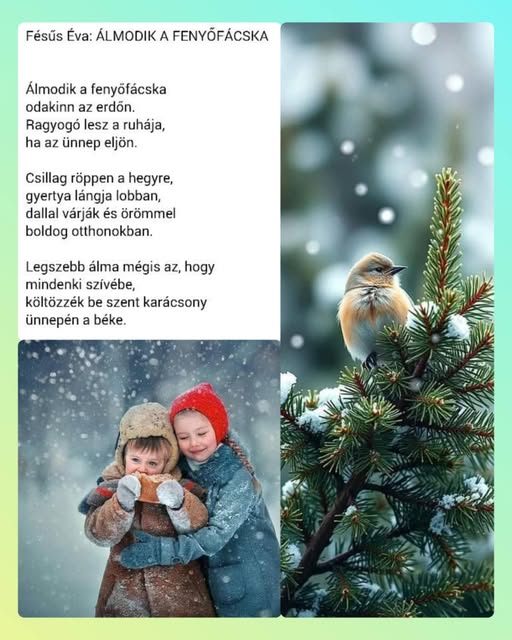 604800963 1187351846862129 3185964438856146796 n