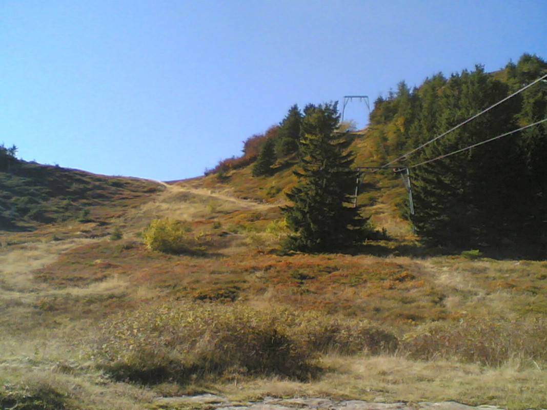 Sciovia Poggione 3 (linea)