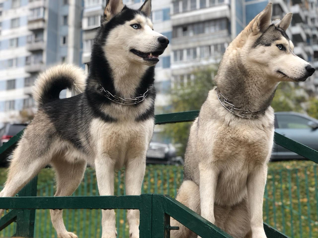 WhatsApp Image 2019-10-10 at 16.25.04(1)