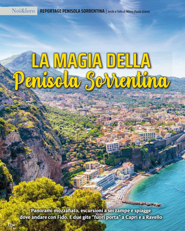 QuattroZampe Nov 2023 (1)