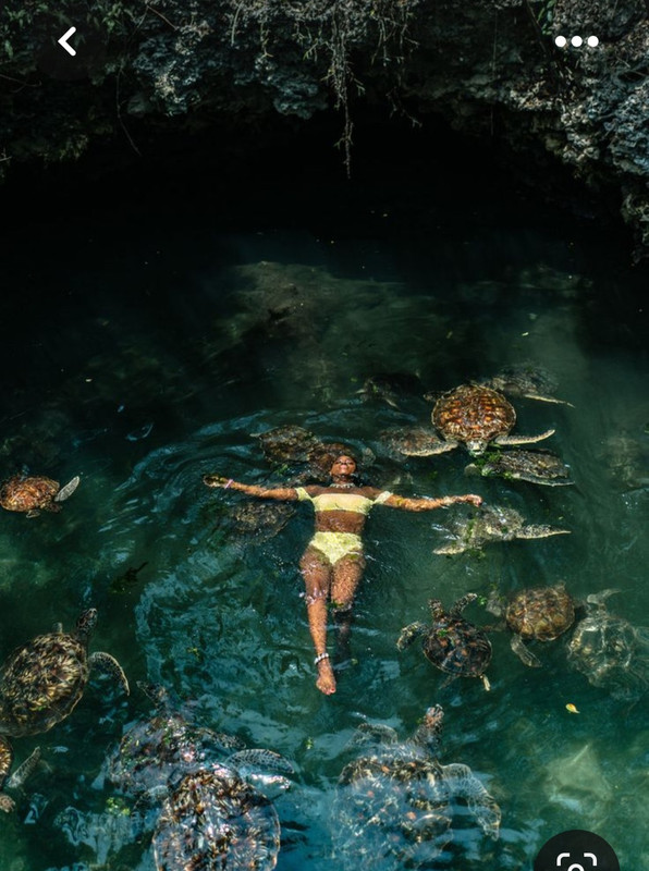 Screenshot_20230530_233116_Pinterest