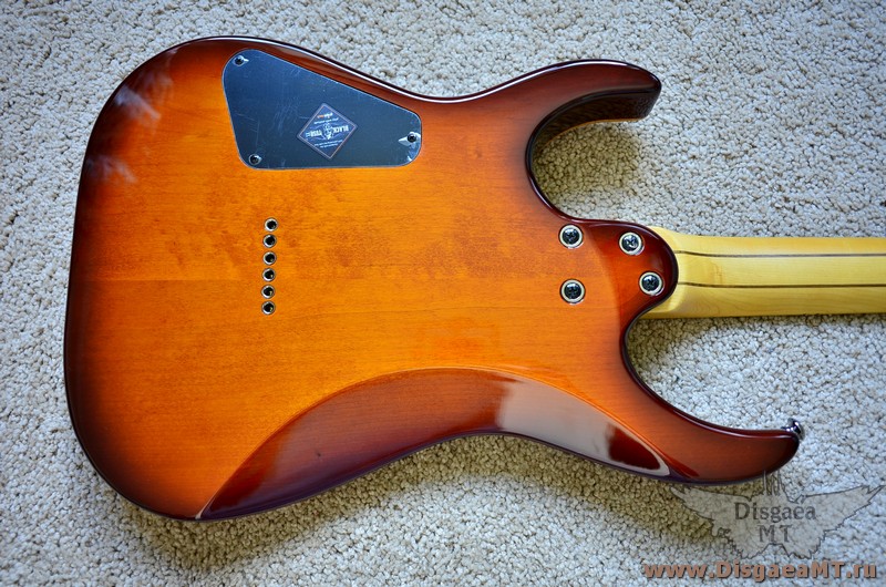 Schecter_Banshee-6_Passive_1-FVSB_020