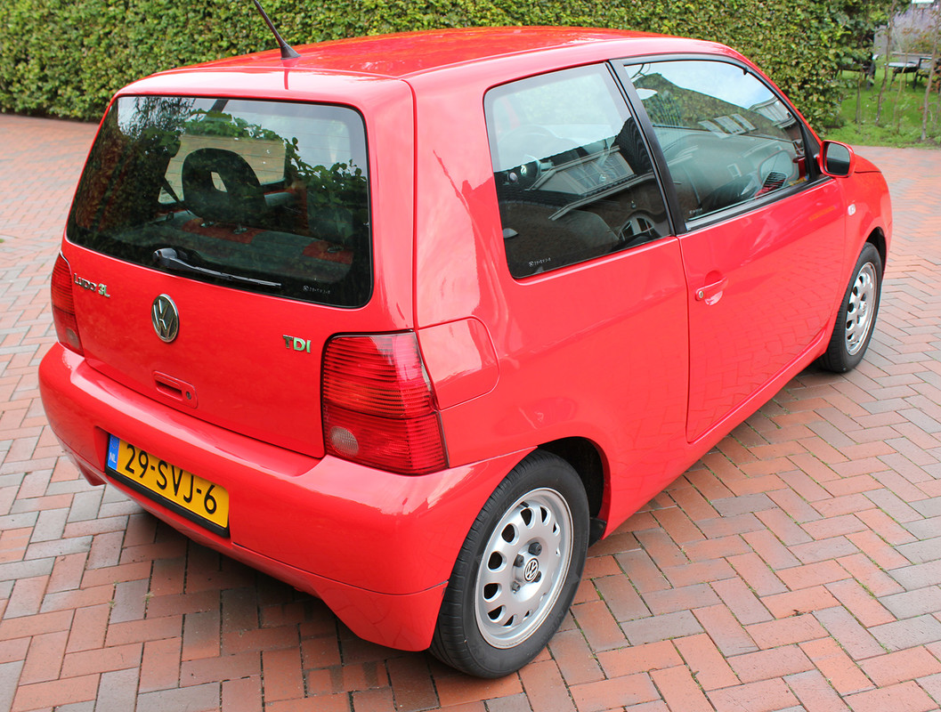 Lupo_rondom_5