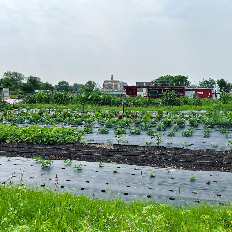 Otter Oaks Farm