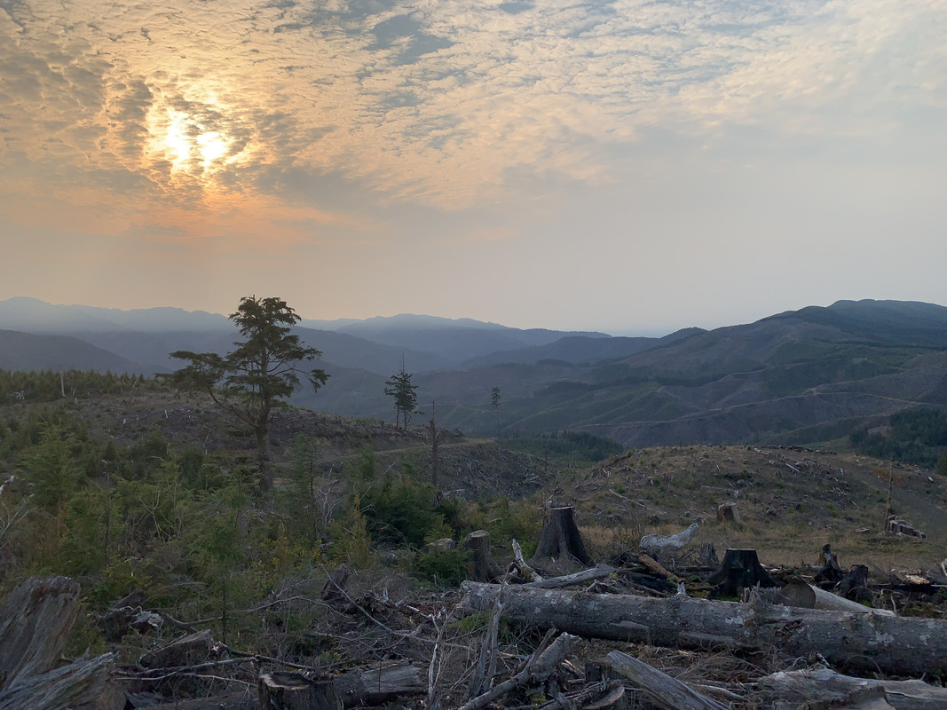 3D01F9D8-8495-4341-A8E4-82E0F1081681