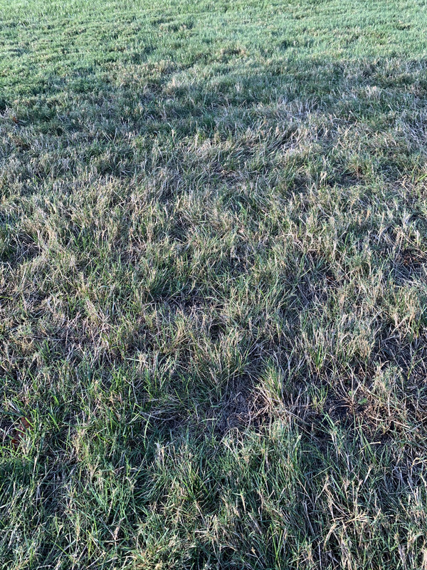 60AC4208-A69B-4575-B04C-5349A1D3B79A