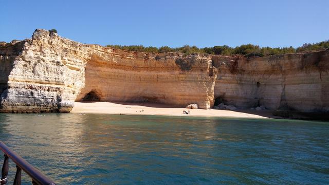 Portugal desde el Algarve hasta Lisboa - Blogs de Portugal - Portimao paseo en barco por las grutas y playas. Caldas de Monchique,  Silves. P (1)