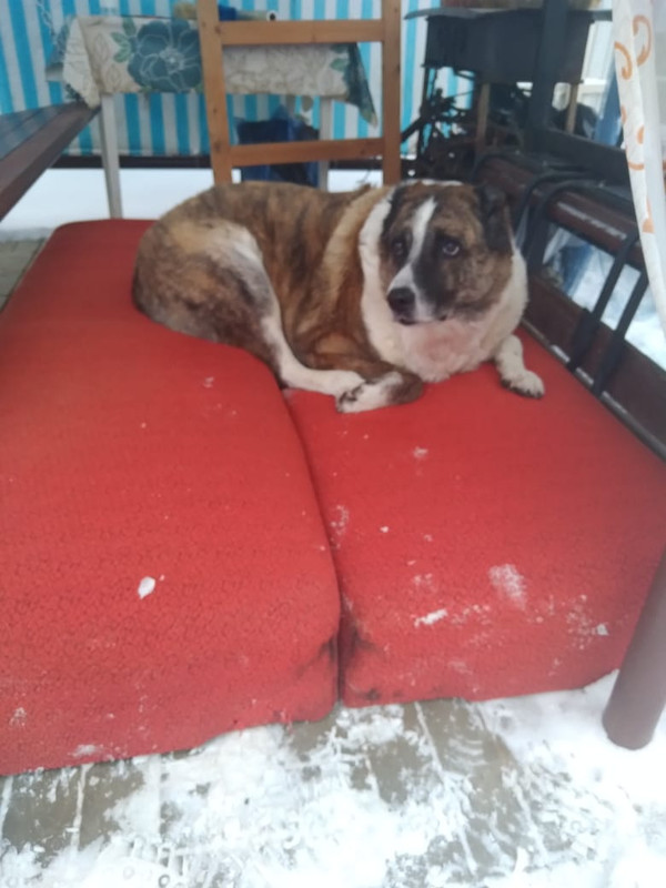 1B38508B-BAD4-4B5F-9746-B44CA295335F