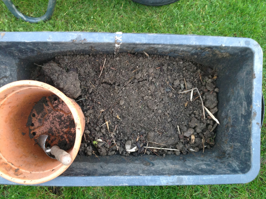 Pflanzerde für den Garten   4. Okt. 2015 (1)